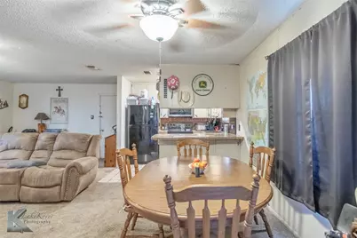 217 County Road 370, Sweetwater, TX 79556 - Photo 15