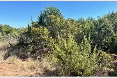 2425 Braune Road, Abilene, TX 79606 - Photo 35