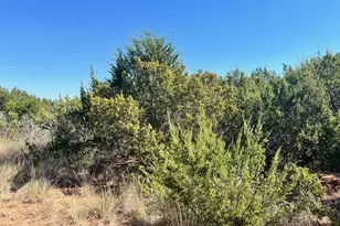 2425 Braune Rd, Abilene, TX 79606 - Photo 35