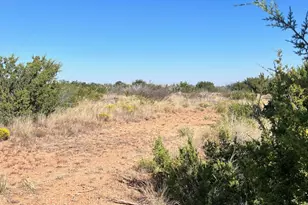 2425 Braune Rd, Abilene, TX 79606 - Photo 33