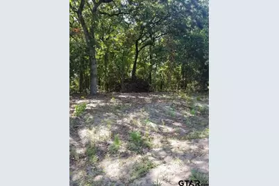 N/A Birch Drive, Murchison, TX 75778 - Photo 1