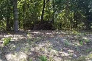 N/A Birch Dr, Murchison, TX 75778 - Photo 1