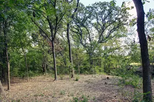 3227 Berry Hollow, Melissa, TX 75454 - Photo 35