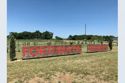 7513 Fenton Parkway, Pilot Point, TX 76258 - Photo 11