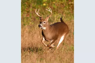 12621 Sue Lane, Godley, TX 76044 - Photo 13