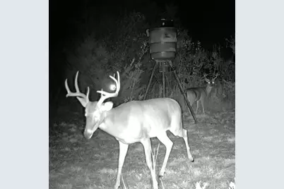 13762 SW Fm 639, Barry, TX 75102 - Photo 3