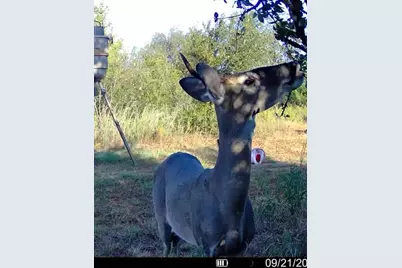 13762 SW Fm 639, Barry, TX 75102 - Photo 9