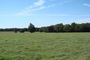 34 Denton Rd, Gordonville, TX 76245 - Photo 25