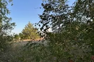 187 Hudson St, Newark, TX 76071 - Photo 13