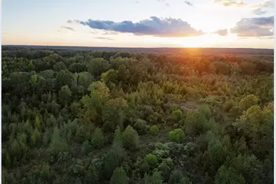 Tbd Fm 1998, Karnack, TX 75661 - Photo 31