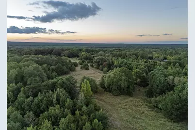 Tbd Fm 1998, Karnack, TX 75661 - Photo 37