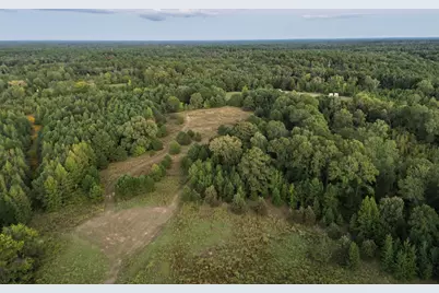 Tbd Fm 1998, Karnack, TX 75661 - Photo 33