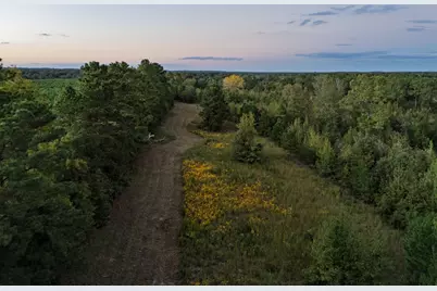 Tbd Fm 1998, Karnack, TX 75661 - Photo 19