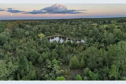 Tbd Fm 1998, Karnack, TX 75661 - Photo 7