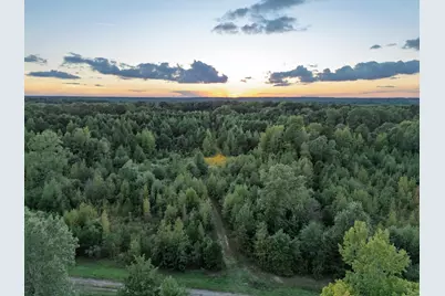 Tbd Fm 1998, Karnack, TX 75661 - Photo 39