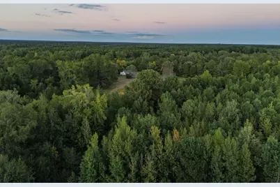 Tbd Fm 1998, Karnack, TX 75661 - Photo 9