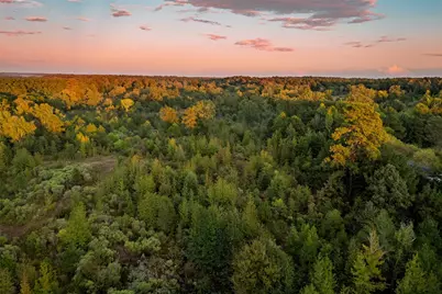 Tbd Fm 1998, Karnack, TX 75661 - Photo 13