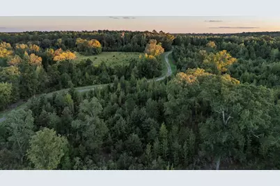 Tbd Fm 1998, Karnack, TX 75661 - Photo 5