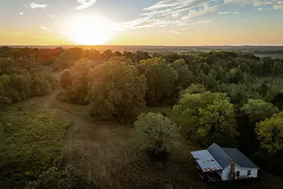 Tbd Fm 1998, Karnack, TX 75661 - Photo 3