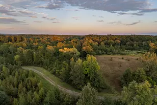 Tbd Fm 1998, Karnack, TX 75661 - Photo 1