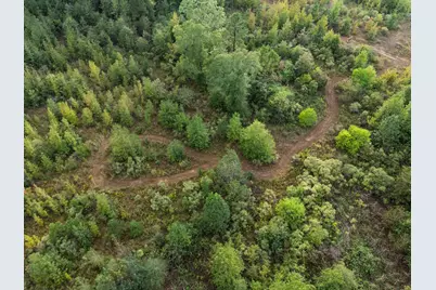 Tbd Fm 1998, Karnack, TX 75661 - Photo 23