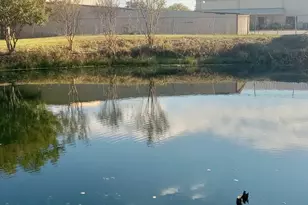 4609 Pioneer Rd, Balch Springs, TX 75180 - Photo 29