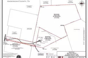 Tbd Fm 1990, Palestine, TX 75801 - Photo 1