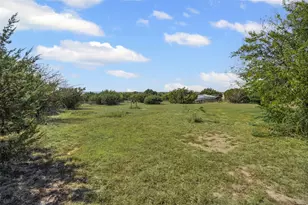 342 Rising View Ct, Weatherford, TX 76085 - Photo 31