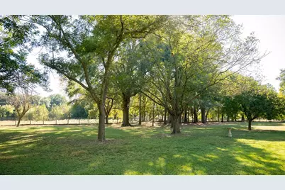 213 County Road 2320, Telephone, TX 75488 - Photo 13