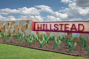 1711 Hillside Stroll Dr, Lavon, TX 75166 - Photo 19