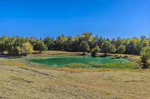 742 Co Rd 5060, Leonard, TX 75452 - Photo 33