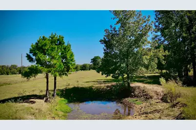 Tbd County Road 3418, Leesburg, TX 75451 - Photo 23
