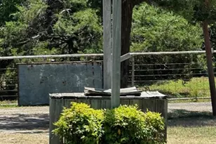 6294 Dugan Chapel Rd, Bells, TX 75414 - Photo 29