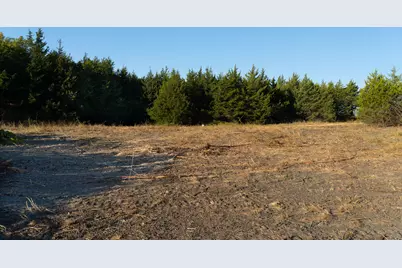 14837 Fm-128, Cooper, TX 75432 - Photo 7