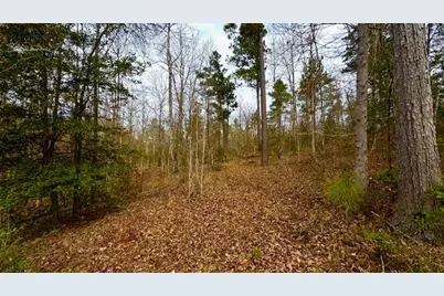 536 An County Road 1233, Palestine, TX 75801 - Photo 3