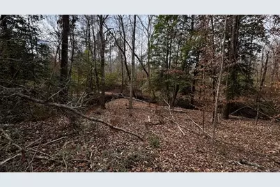 536 An County Road 1233, Palestine, TX 75801 - Photo 5