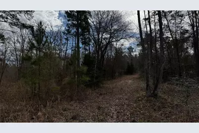 536 An County Road 1233, Palestine, TX 75801 - Photo 29