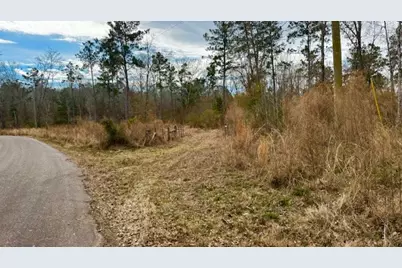 536 An County Road 1233, Palestine, TX 75801 - Photo 1