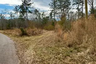 536 An County Road 1233, Palestine, TX 75801 - Photo 1