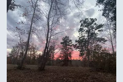 536 An County Road 1233, Palestine, TX 75801 - Photo 1