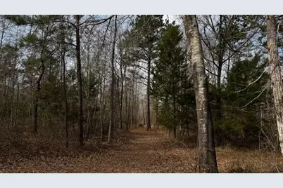 536 An County Road 1233, Palestine, TX 75801 - Photo 27