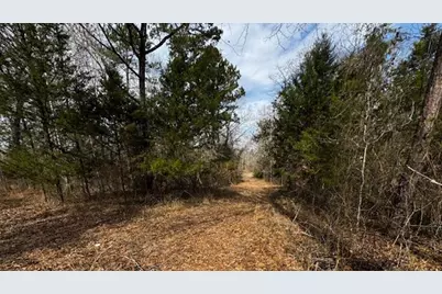 536 An County Road 1233, Palestine, TX 75801 - Photo 21