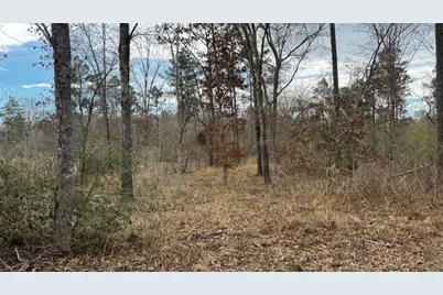 536 An County Road 1233, Palestine, TX 75801 - Photo 9