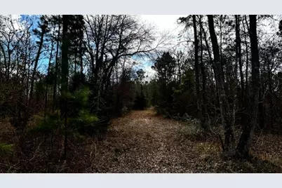 0 An County Rd 1233, Palestine, TX 75801 - Photo 5