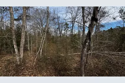 0 An County Rd 1233, Palestine, TX 75801 - Photo 11