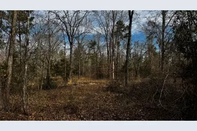 0 An County Rd 1233, Palestine, TX 75801 - Photo 3