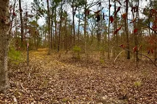 0 An County Rd 1233, Palestine, TX 75801 - Photo 1