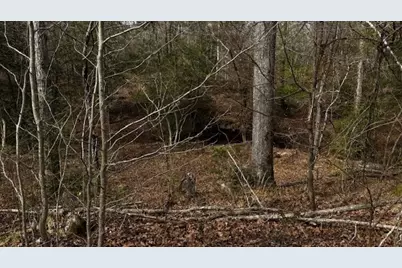 0 An County Rd 1233, Palestine, TX 75801 - Photo 17