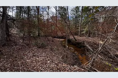 0 An County Rd 1233, Palestine, TX 75801 - Photo 15