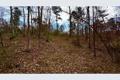 0 An County Rd 1233, Palestine, TX 75801 - Photo 23